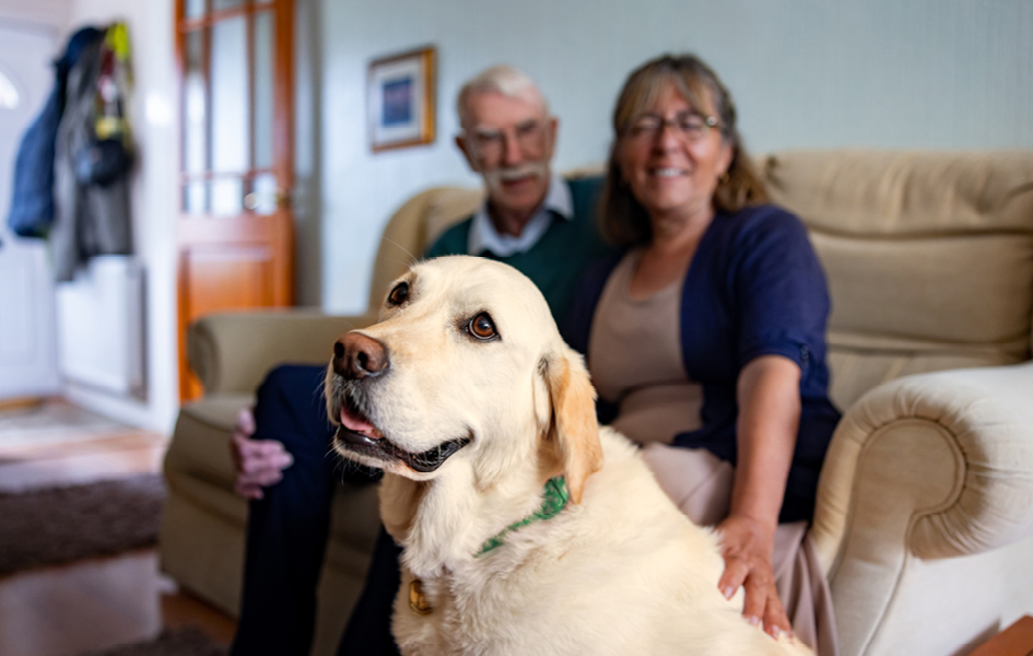 A Greener Future for All